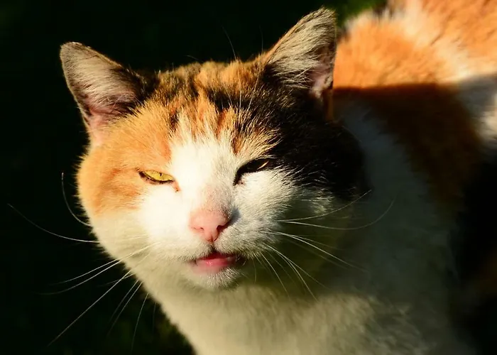 Πανσιόν Fleckhof Neustift im Stubaital